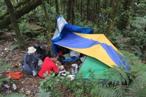 Penampakan Sisi Depan Tenda Darurat (Terpal Biru) - Kandang Badak Gunung Gede Pangrango