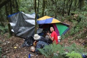 Penampakan Tenda Darurat (Terpal Biru) - Kandang Badak Gunung Gede Pangrango